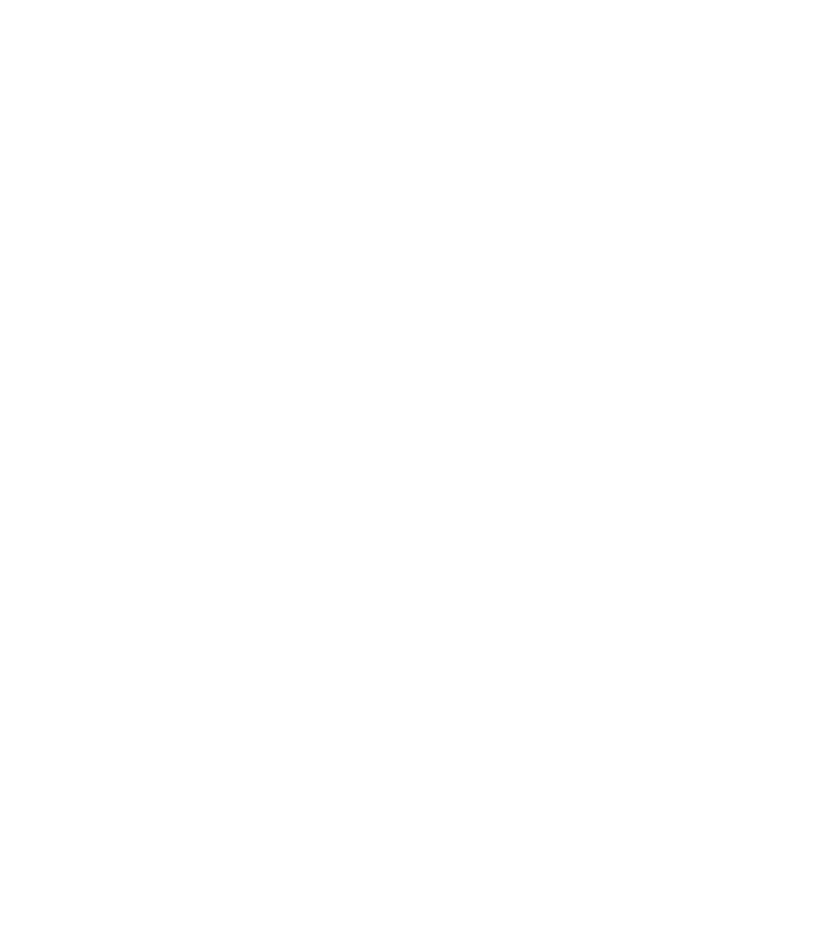 CAPA Governance